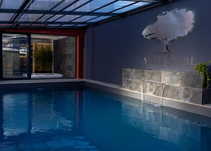 Villa Seyal - Avec Piscine - Jacuzzi - Sauna & Climatisation