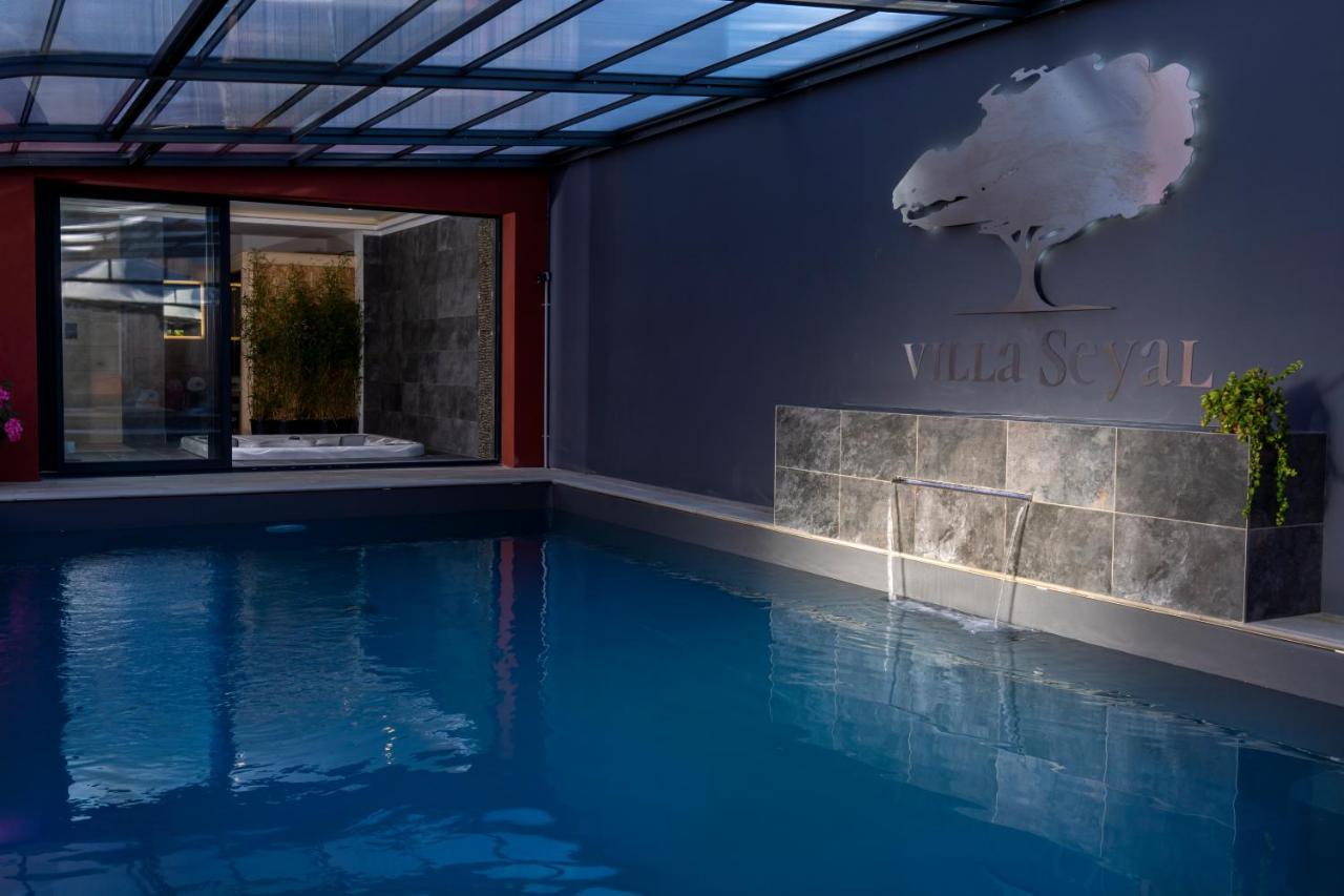 Seyal - Avec Piscine - Jacuzzi - Sauna & Climatisation Villa Le Mans