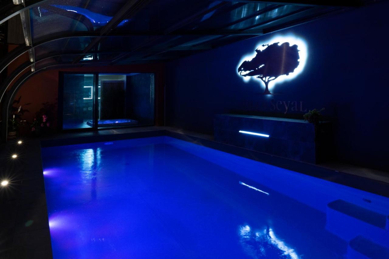 Seyal - Avec Piscine - Jacuzzi - Sauna & Climatisation Villa Le Mans